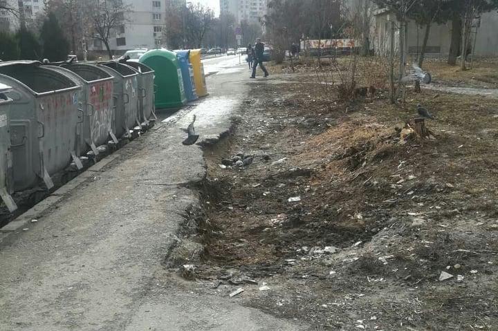 Изчистената от боклуци зелена площ пред бл. 373 в Младост 3
