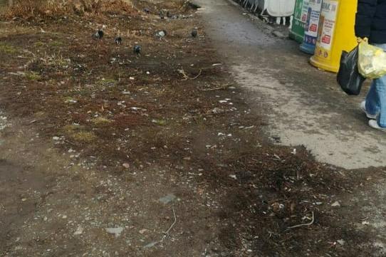 Изчистената от боклуци зелена площ пред бл. 373 в Младост 3