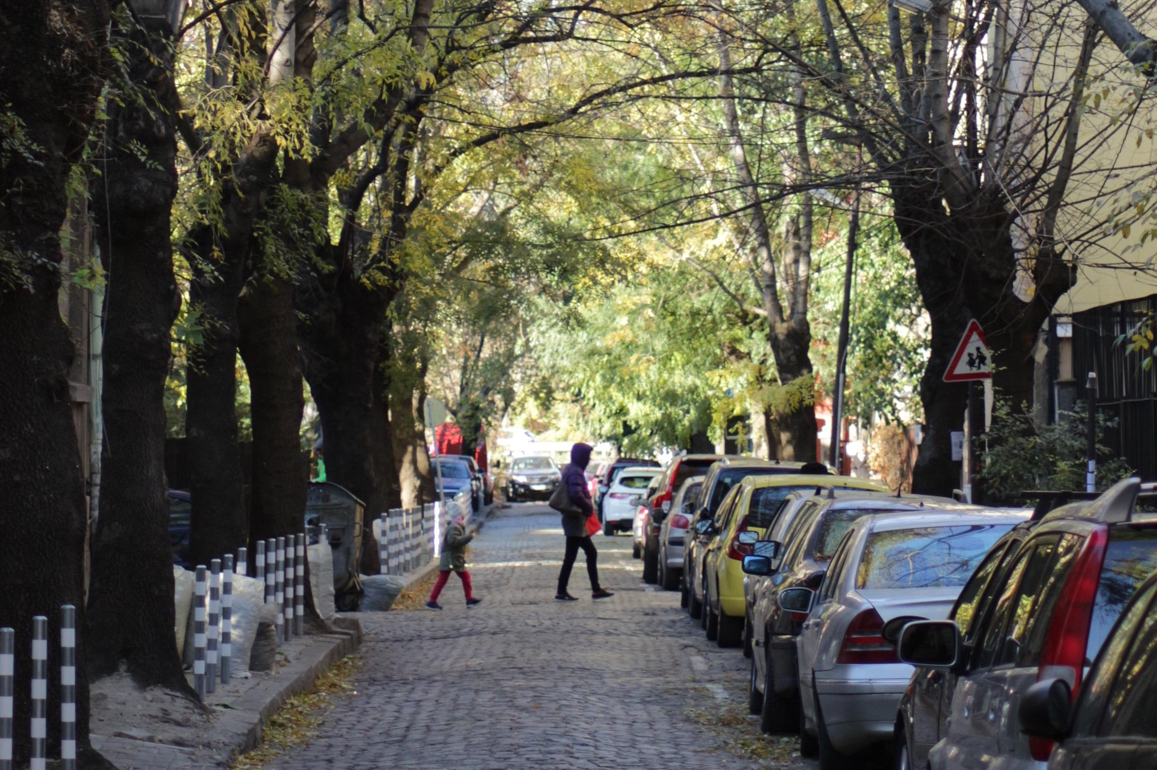 Зелена зона в София