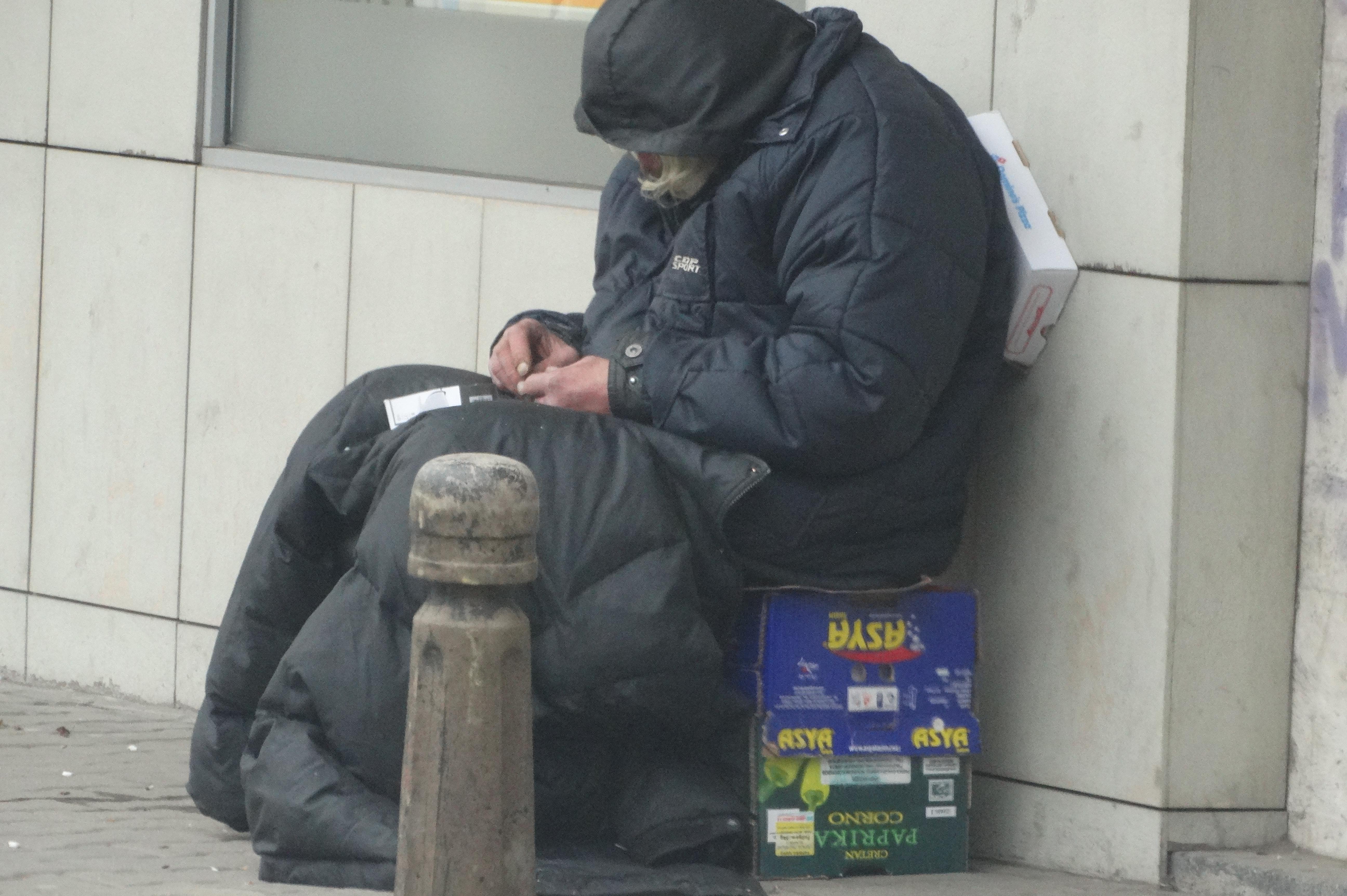 Бездомник