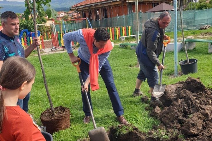 Засаждане на дървете в село Иваняне