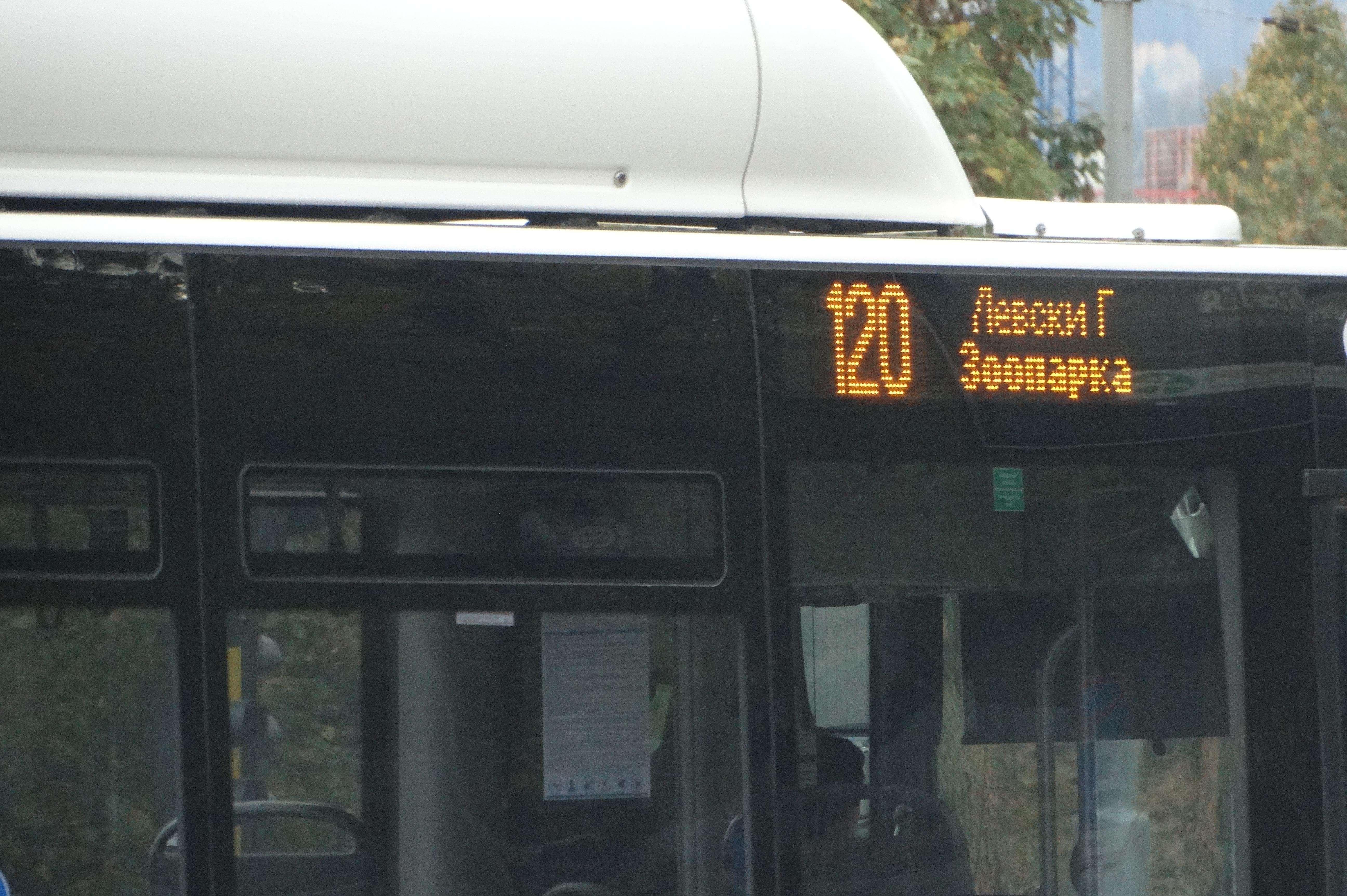 автобус 120