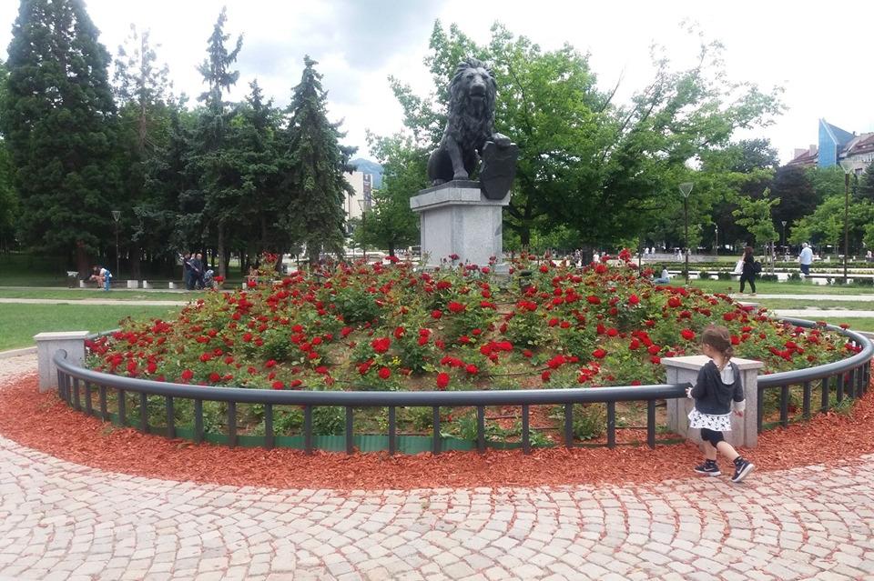 Цветя в София