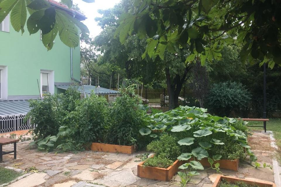 Зеленчукова градина в 134 детска градина Любопитко, кв. хиподрума, район Кр