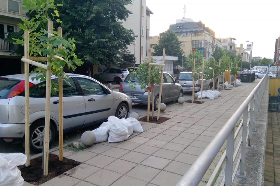 Засадиха дръвчета по ул. Пирин в Манастирски ливади-Запад