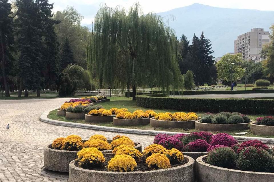 Посадиха новите цвета в столичните паркове и градини