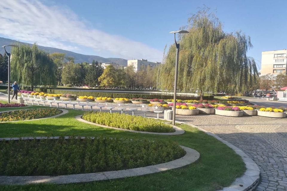 Посадиха новите цвета в столичните паркове и градини