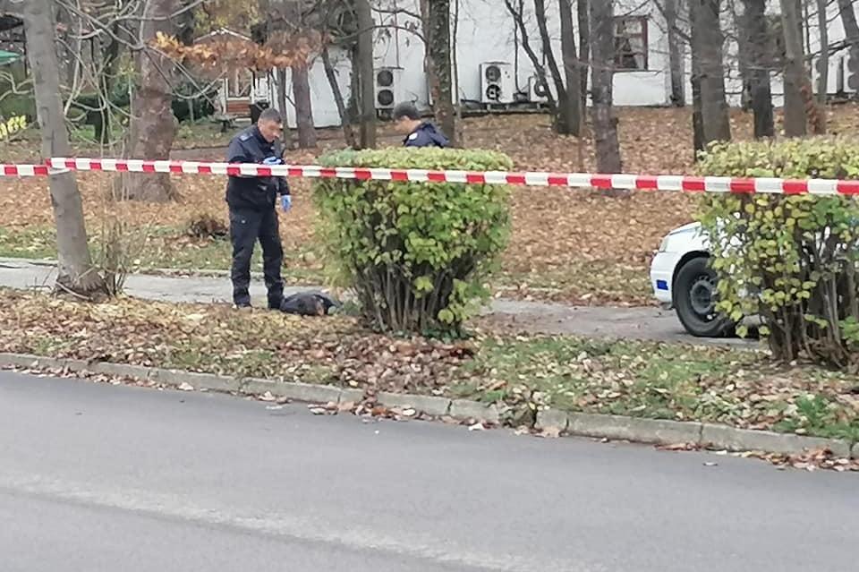 Убийство в Борисовата градина