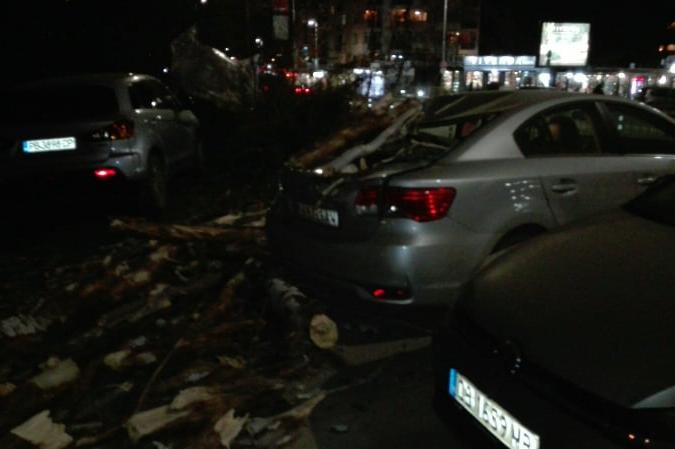Силен вятър повали дървета, смачкана кола в Лозенец