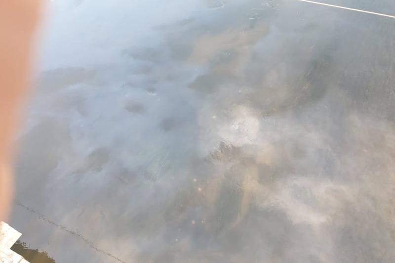 Замърсяване на река Искър в Нови Искър