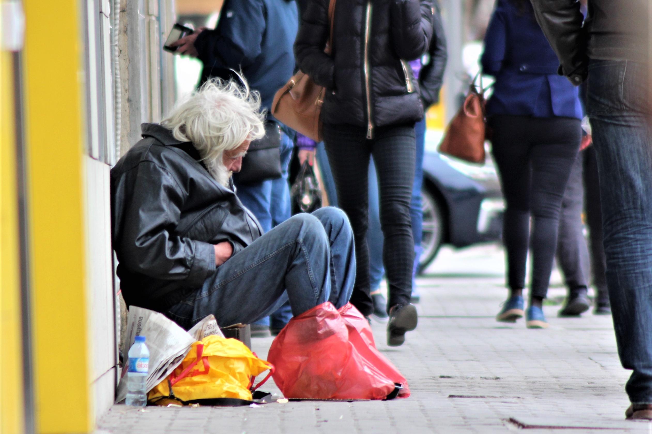 Бездомник