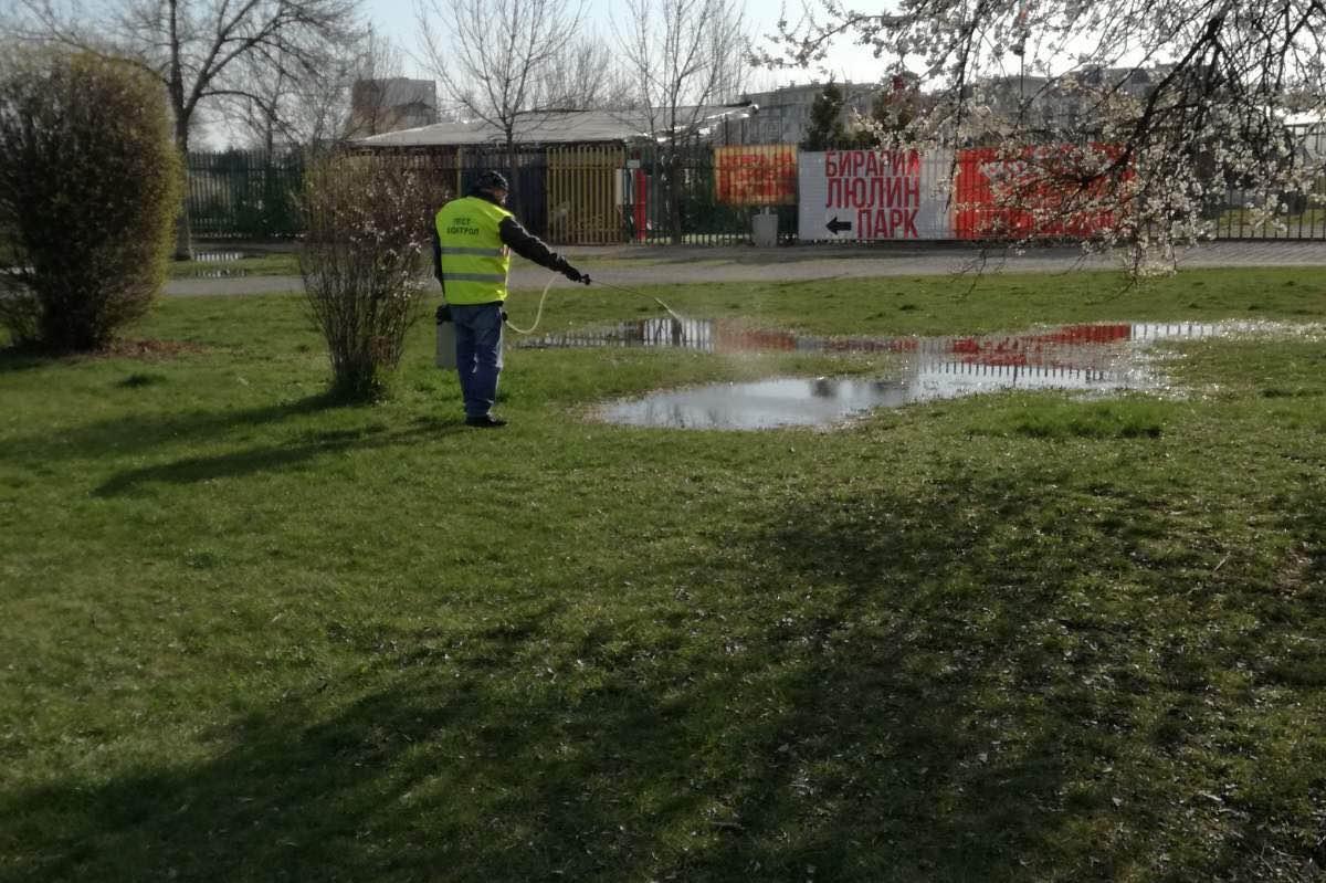Пръскат зелени площи срещу ларви на комари покрай „Тодор Александров“ и“Цар