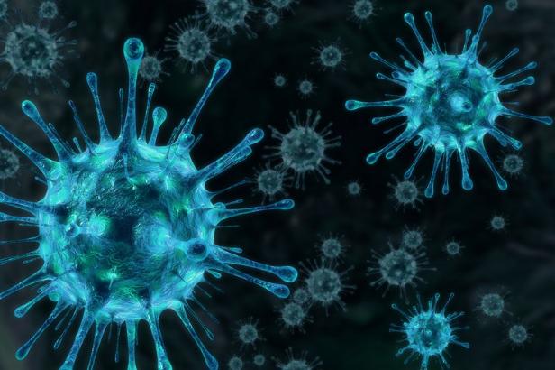 25 излекувани от коронавирус, броят на заразените стигна 449