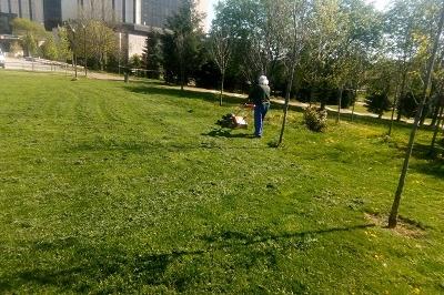 Започна косенето по паркове и градини в София