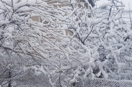 Над 90 машини са чистили снега във всички райони на София