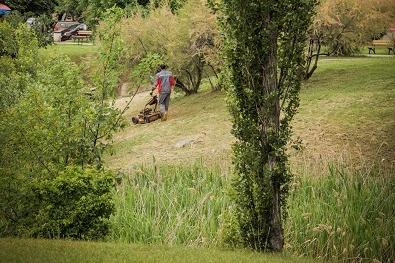 От 10 юни започва обработка на зелени площи срещу бълхи  икомари