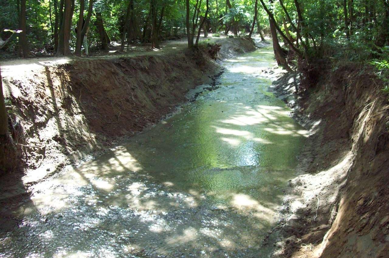 Изчистиха 82 участъка от коритата на реките в София