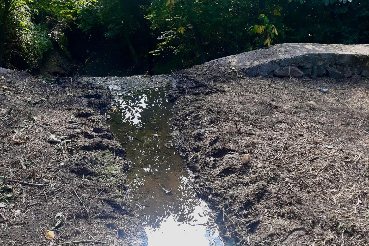 В Панчарево са почистени 2,5 км речни корита и канали