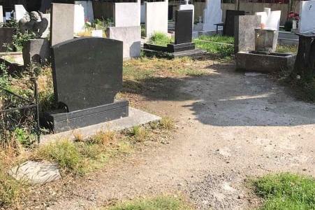 Само 15% са почистените гробове в София, другите са буренясали и забравени