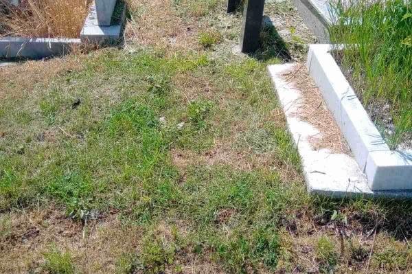 Само 15% са почистените гробове в София, другите са буренясали и забравени