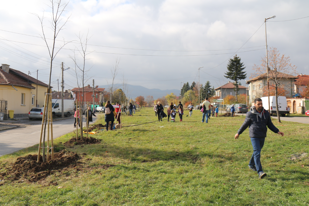Деца от частно училище  засадиха дръвчета в с. Иваняне