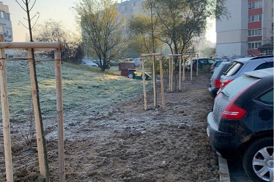 Над 100 места за паркиране и засадени дървета на "кална точка" в "Овча купе
