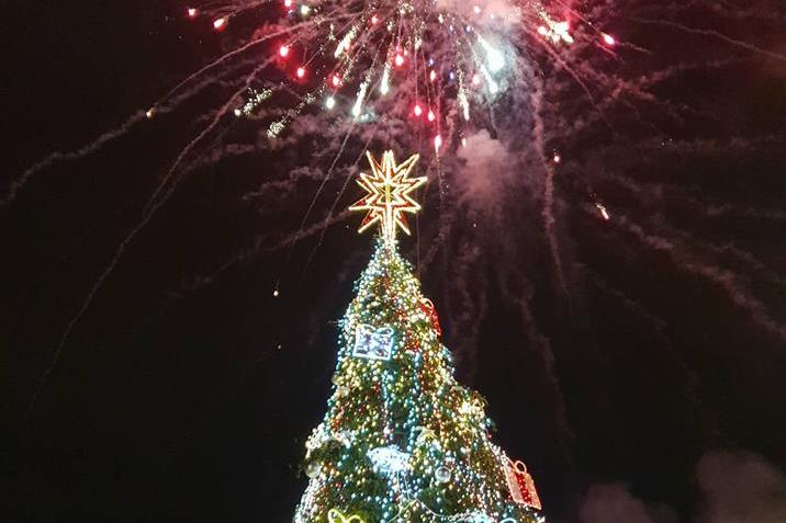Коледната елха на София ще светне на 30 ноември пред НДК