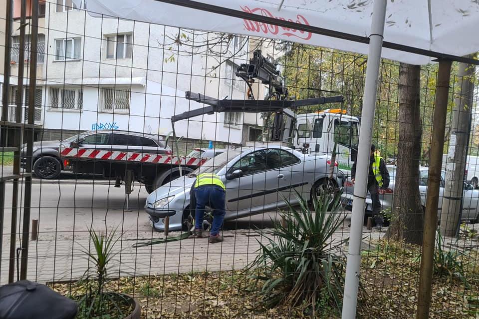 Паяк налази автомобил в „Хаджи Димитър“ (СНИМКИ)