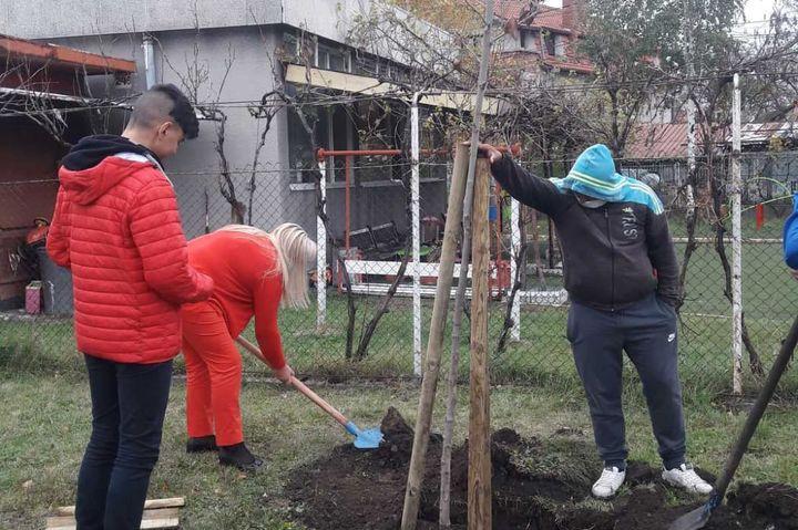 В двора на 63 ОУ "Христо Ботев" в "Требич" са засадени 30 нови дръвчета