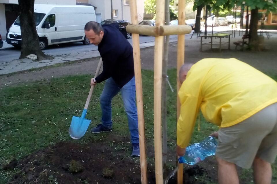 Тръгна компенсаторно озеленяване в "Триадица" заради ремонта на "Каблешков"