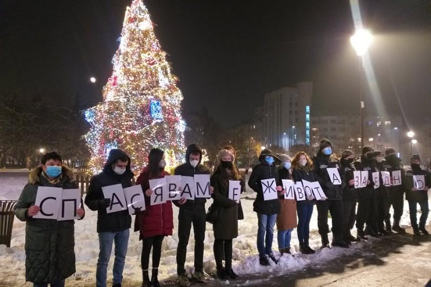Коледната елха в София грейна край НДК с 800 метра светещи гирлянди