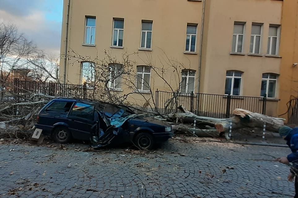 Сигнали за откъртени огради и паднали клони в София заради силния вятър