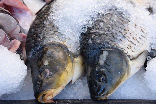 За Никулден: Търговци продават риба между храма "Ал. Невски" и бул. "Васил 