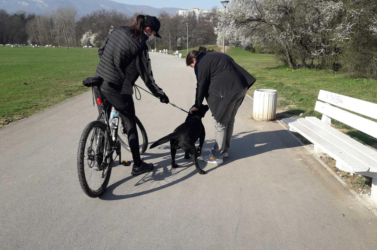 Столичен инспекторат глоби 17 стопани на кучета  в парк "Св. Троица"