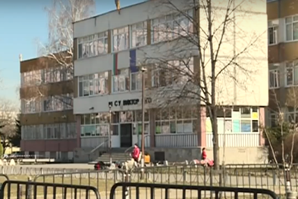 В училищен двор в София: Бездомно куче ухапа 12-годишно момиче