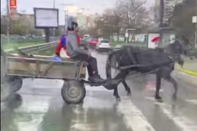 Каруца опасно изскочи на зебра на бул. Г. М. Димитров в София