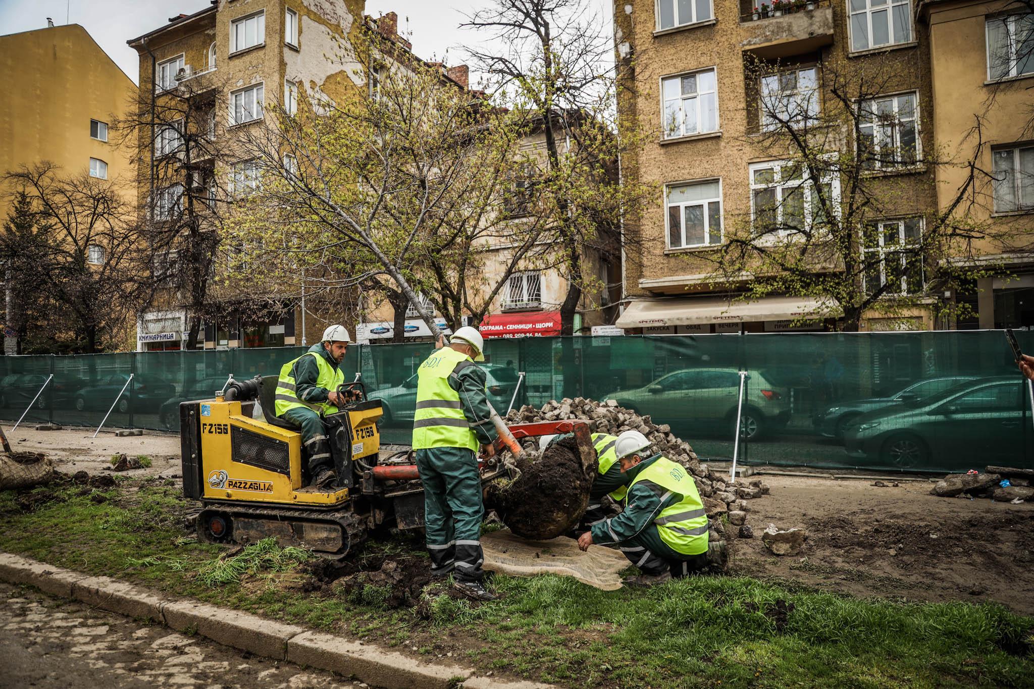 Заради ремонта на бул. „Цар Борис III“: Местят дървета от площад "Македония