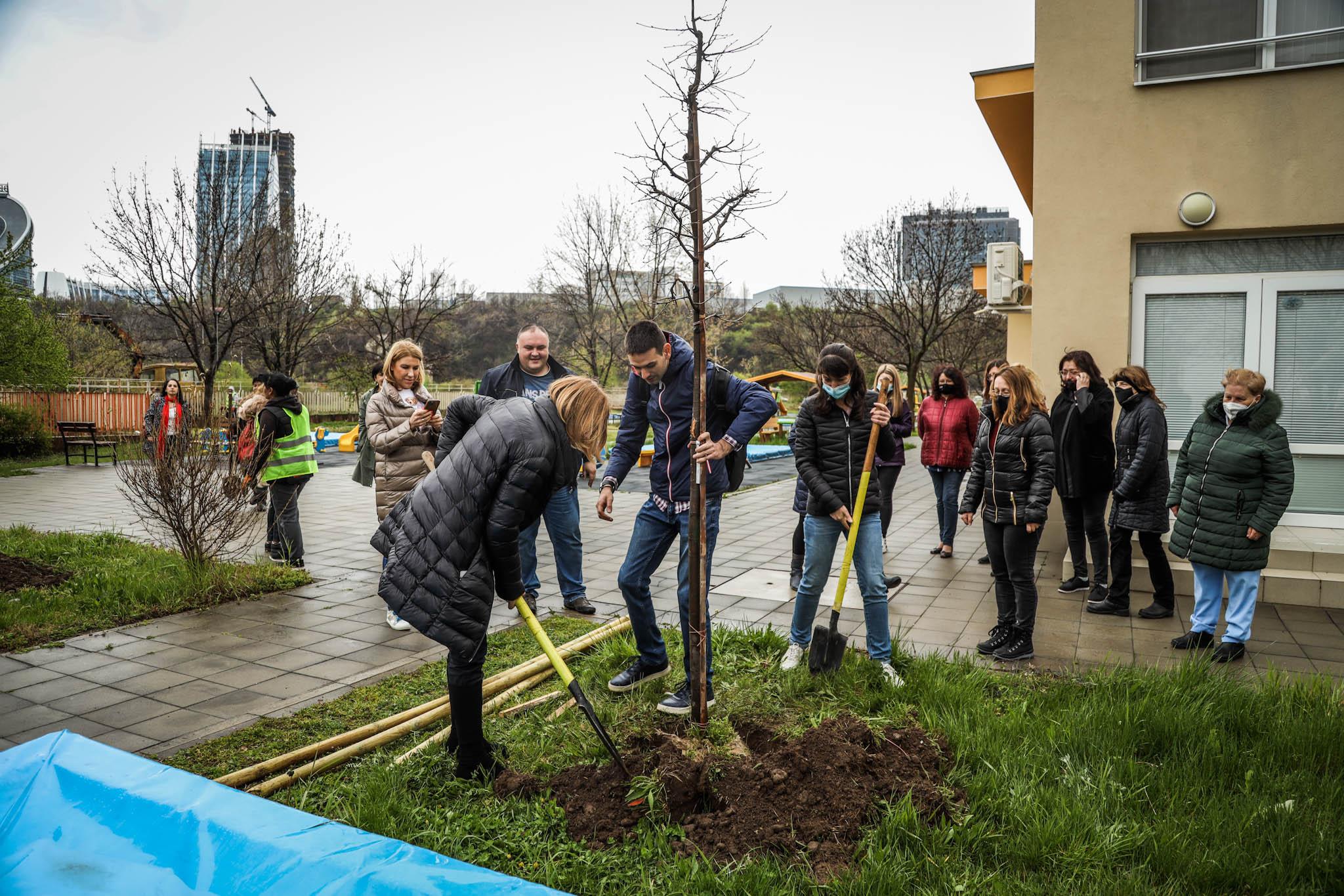 В дворовете на столични училища и градини ще бъдат засадени 500 дървета