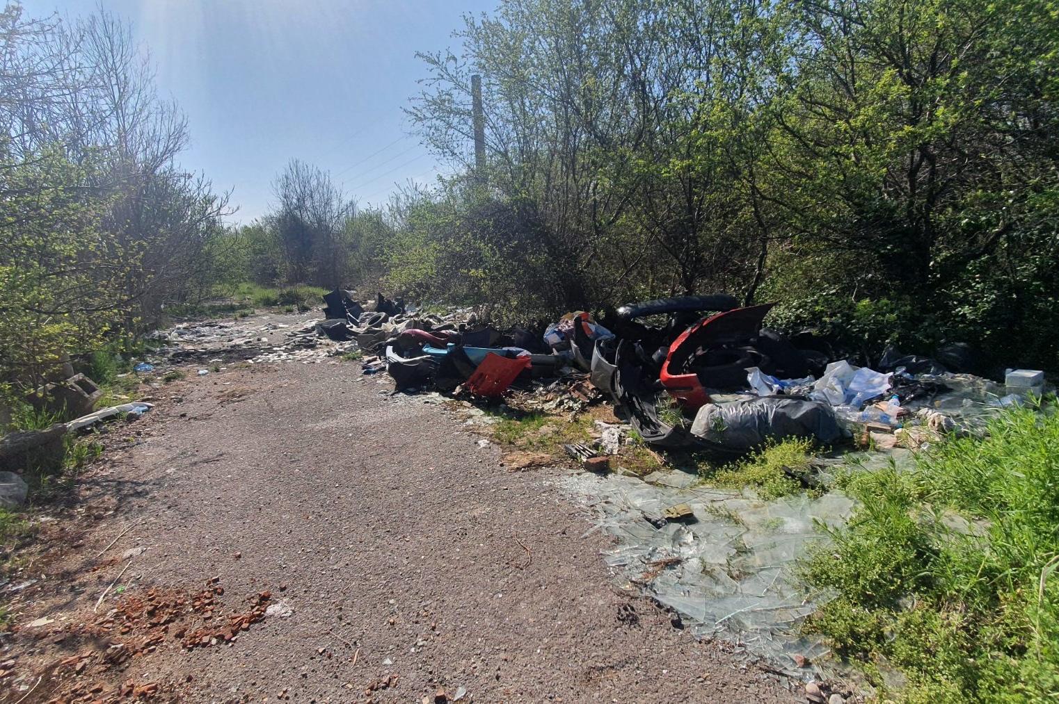 В София от пролетното почистване бяха събрани близо 5000 тона отпадъци (СНИ