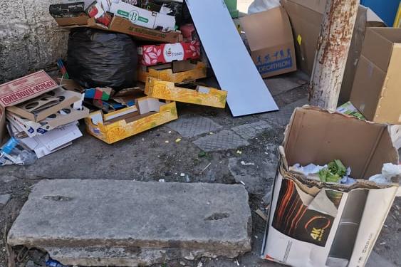 Живеещи в "Борово":  Столичният квартал потъна в боклуци, роми ровят и изхв