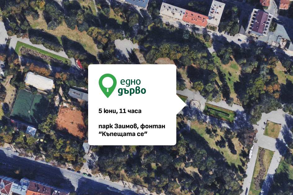 Над 200 доброволци са участвали в картирането на дървета в София