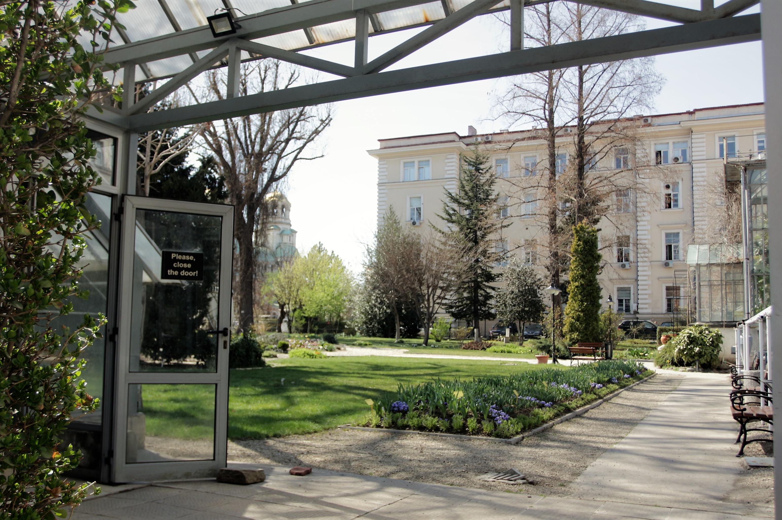 Базар на лечебни растения на Еньовден в Ботаническата градина на София