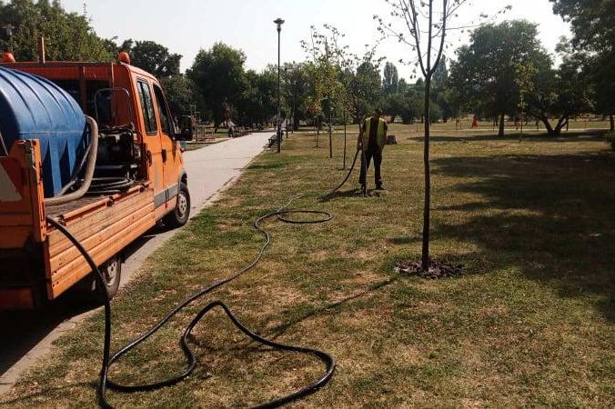 Екипи на АПП ще помагат в поливането на дърветата в столицата