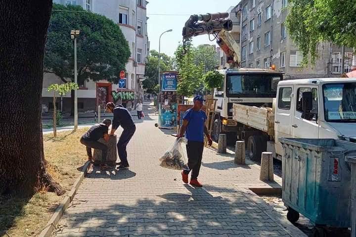 Вдигат бетонни кошчета от градинката при площад "Португалия"
