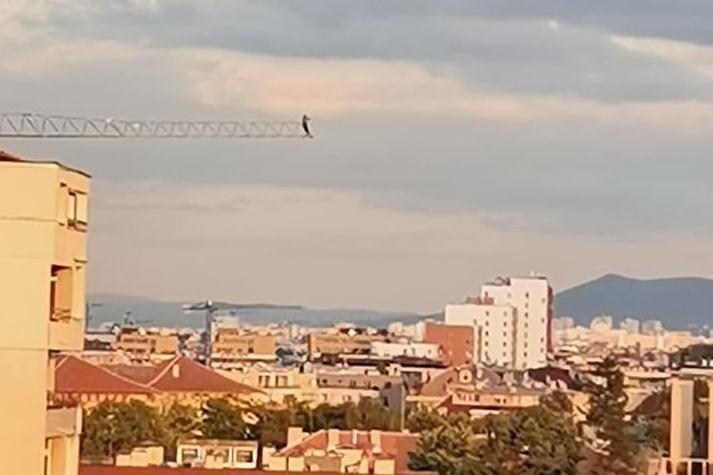 Безумие: Мъж кацна на кран на строеж, за да снима София от високо