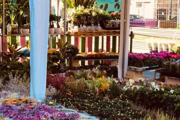 Изкуство, книги, цветя и храни в WEEKEНД ПАZAR промениха Женския пазар в ст