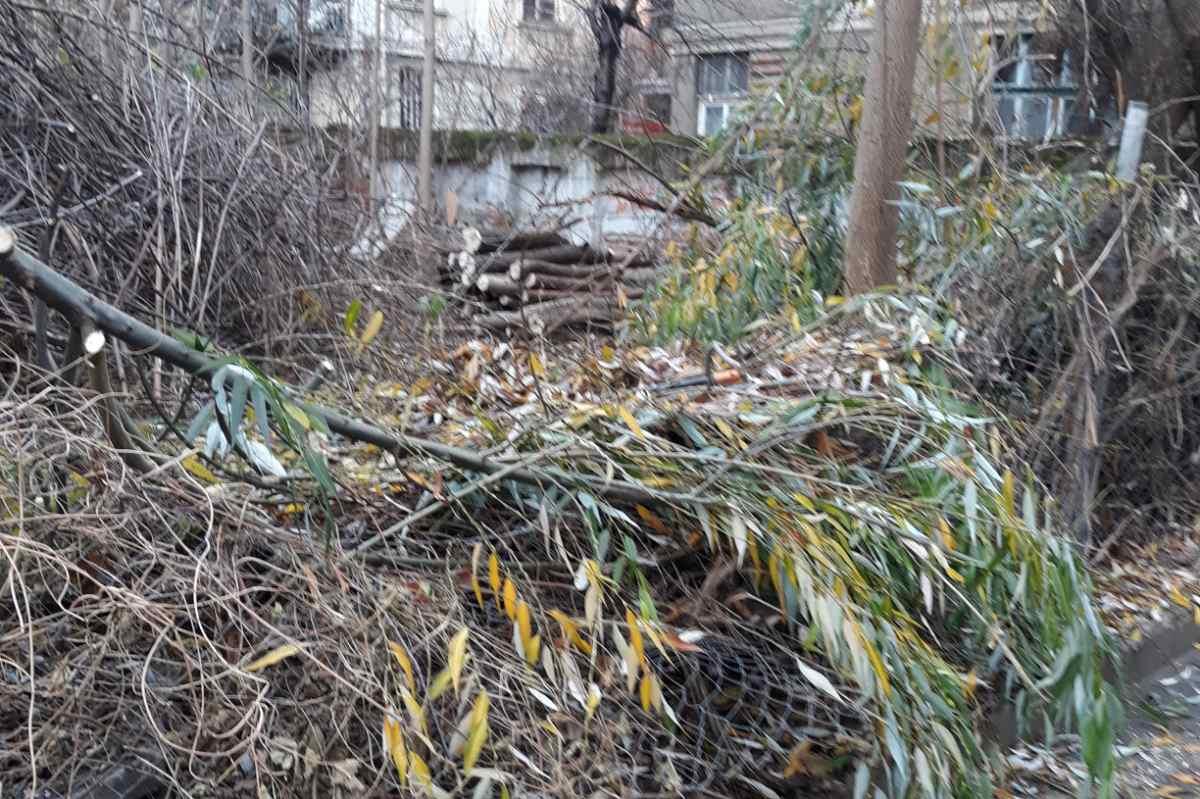 Глобиха собственик на имот за рязане на дървета в София