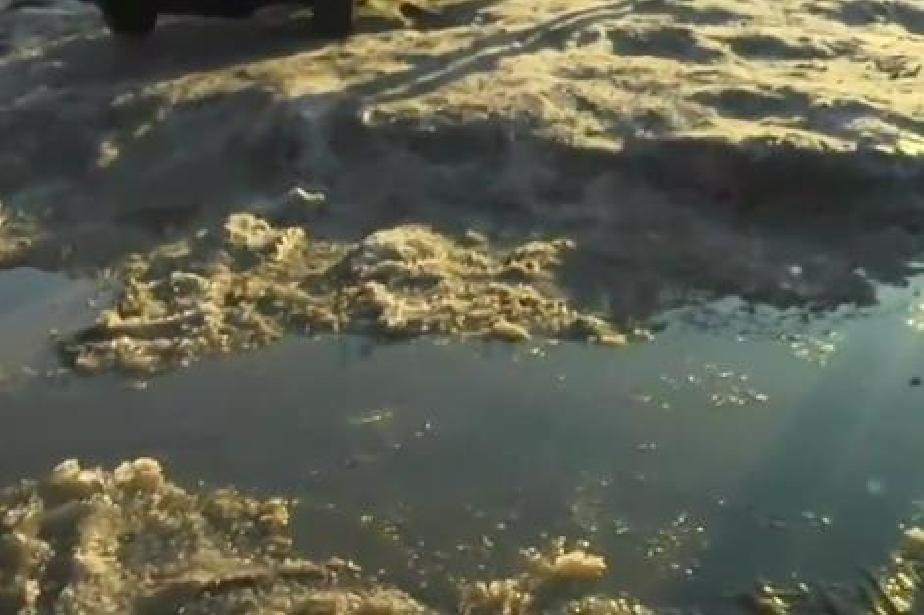 "Драма": Спукана тръба наводни и заледи кръстовище в Бояна