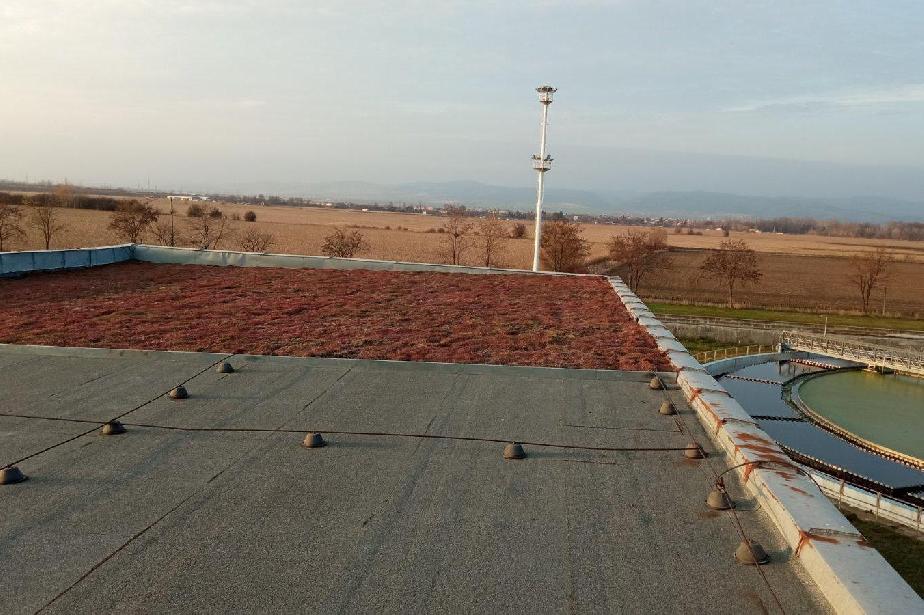 Научен експеримент: Софийска вода постави зелен покрив на пречиствателната 