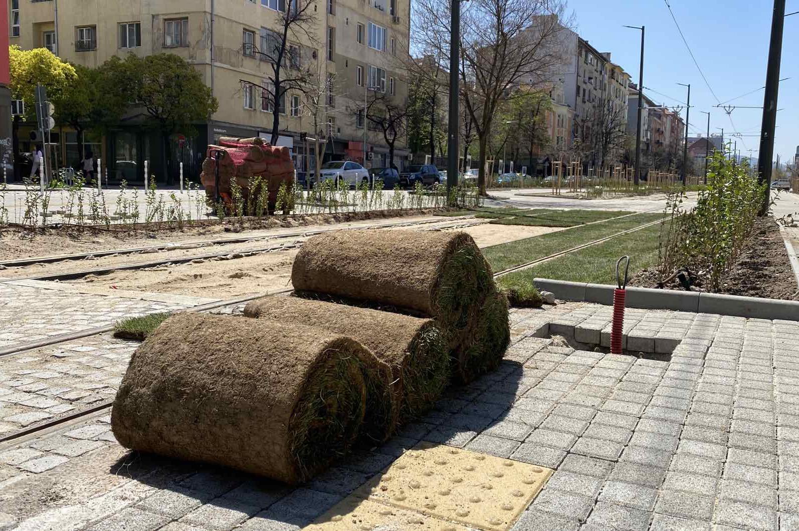 Започна засаждането на „зеления трамвай“ в линейния парк на бул. „Македония